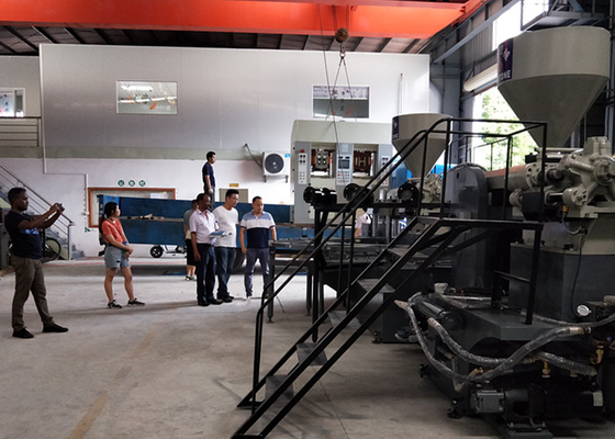 Dormeur en plastique Chappal faisant à machine les pantoufles rotatoires faisant la machine